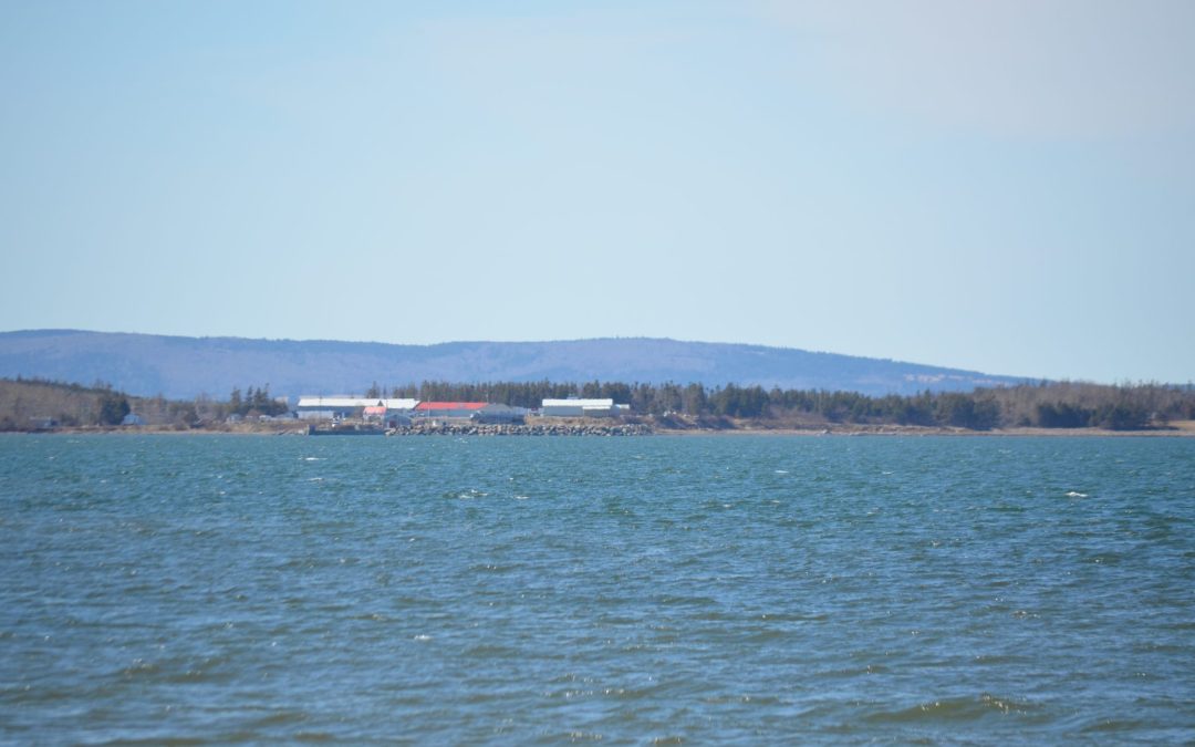 Bayfield General History